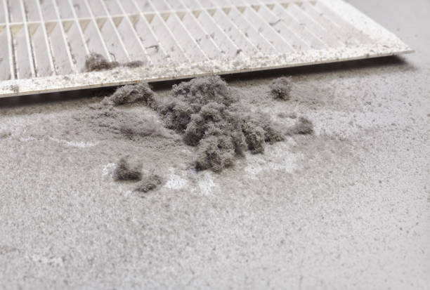 HVAC System Cleaning in CO