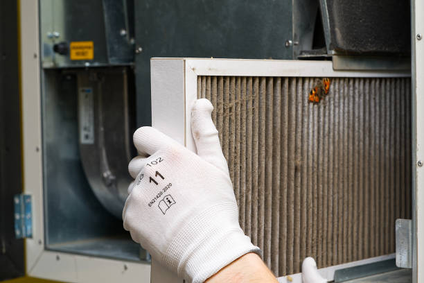 Best Air Duct Cleaning Near Me  in Castle Rock, CO