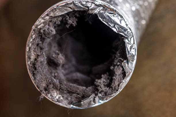 Best Air Duct Cleaning Company Near Me  in Castle Rock, CO