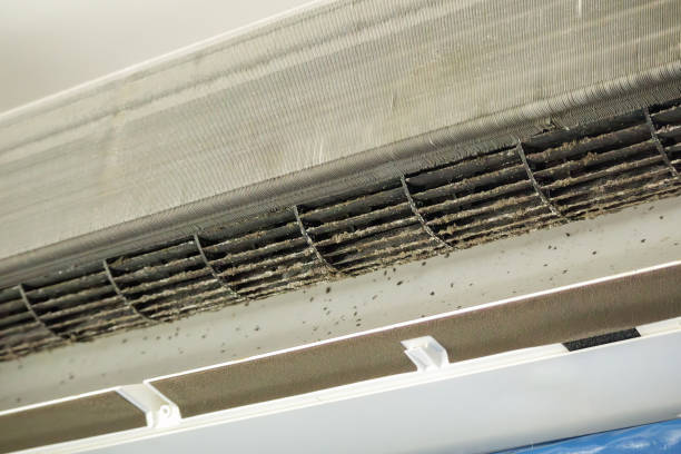 Best Duct Cleaning Specialists  in Castle Rock, CO